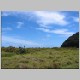 Waitakere Ranges 086.jpg